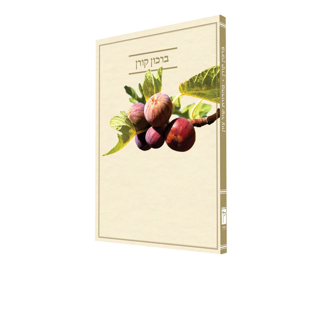 תמונת מוצר 5
