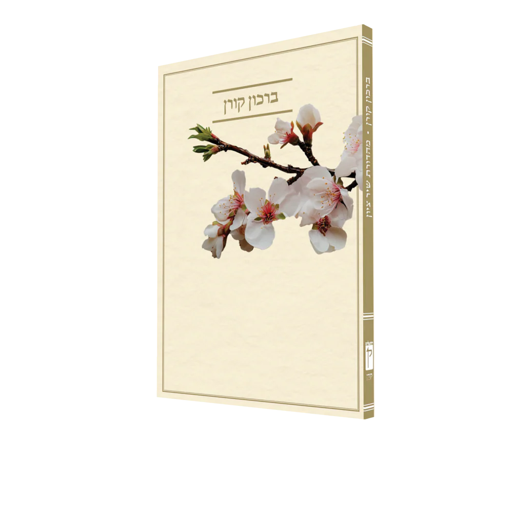 תמונה ממוזערת 2