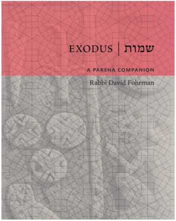 תמונת מוצר 1