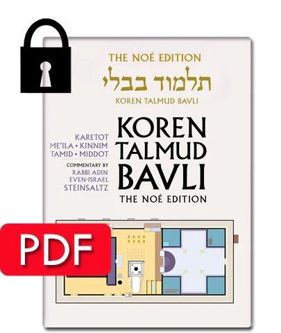 תמונת מוצר 1